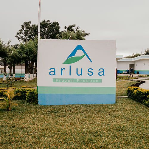 arlusa grupo detpon