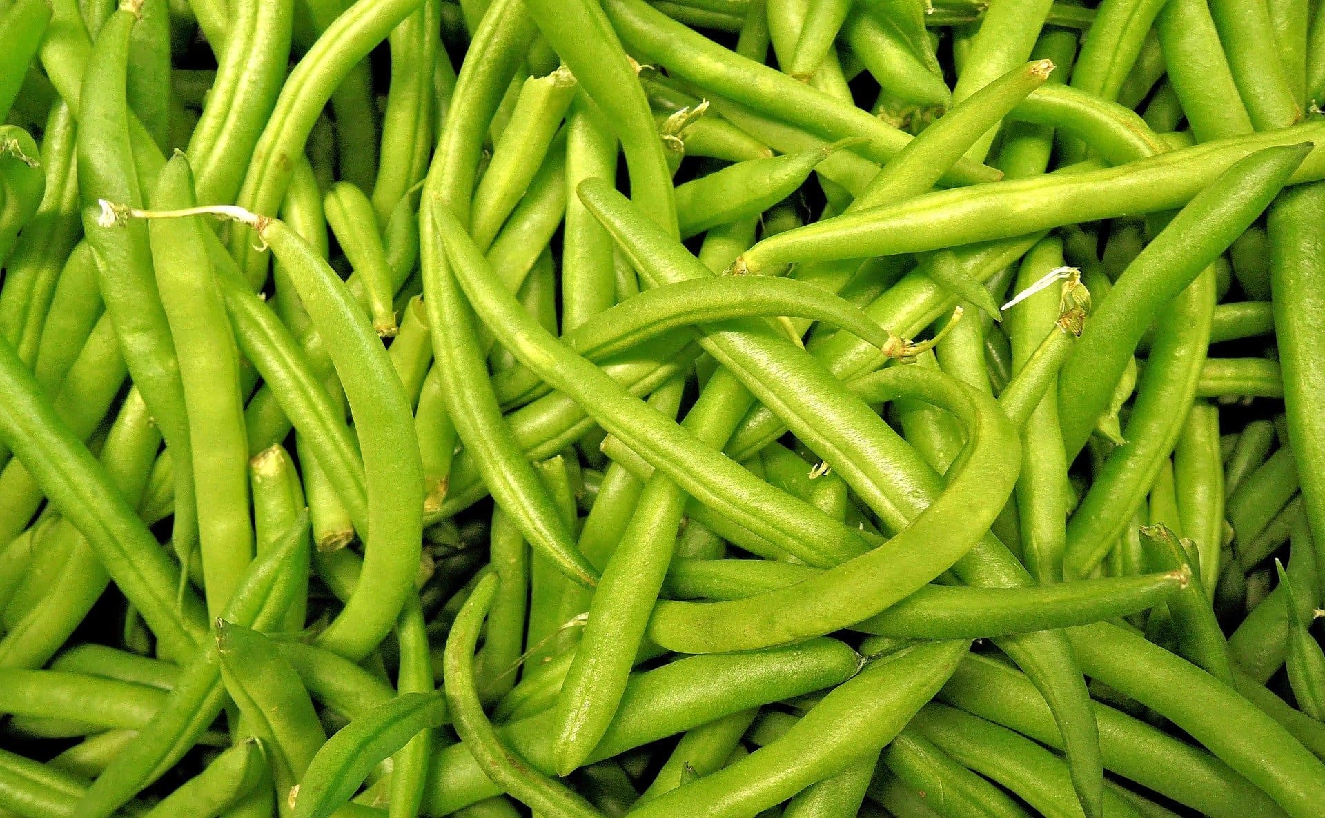 ejote