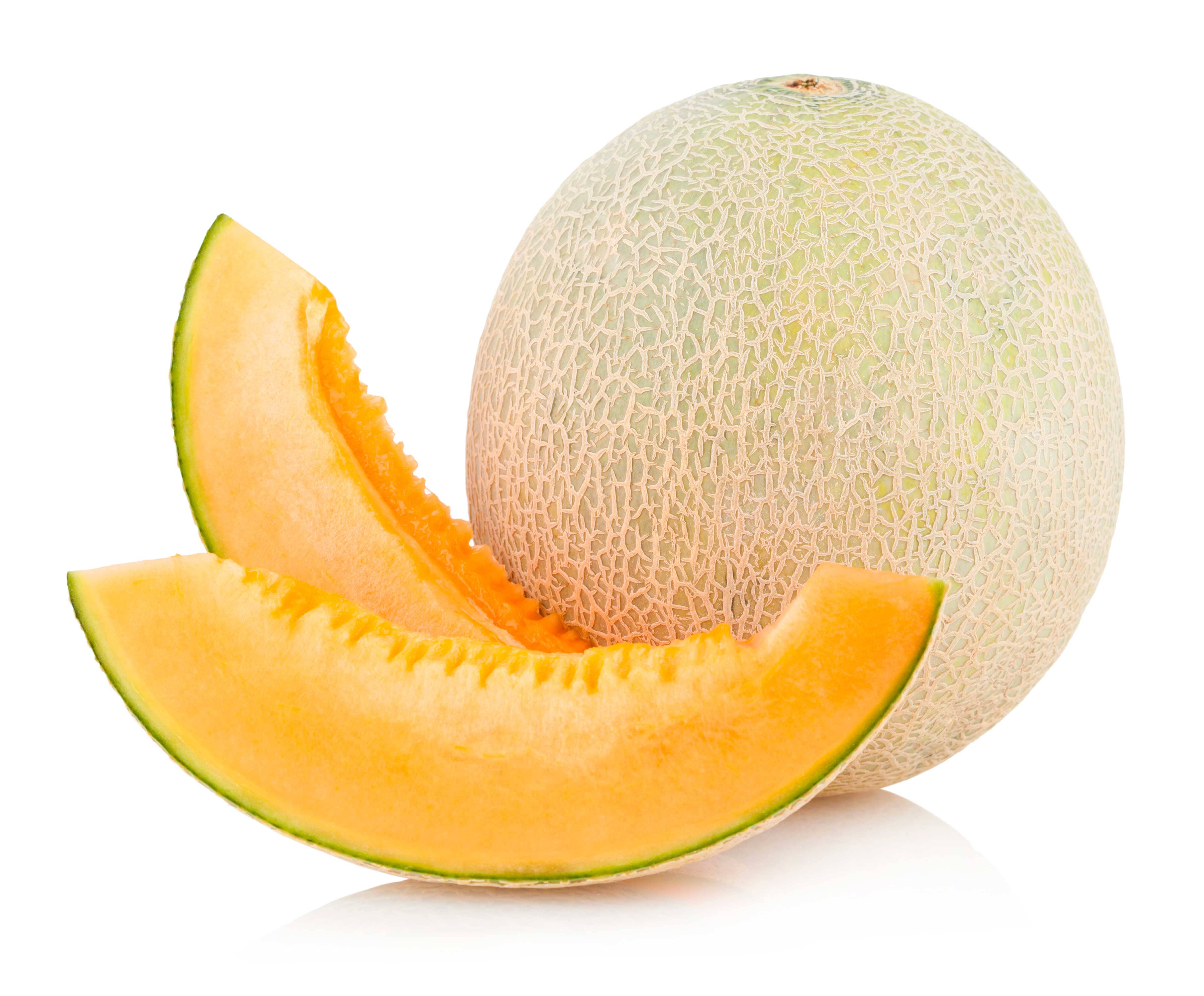 melon-cantaloupe