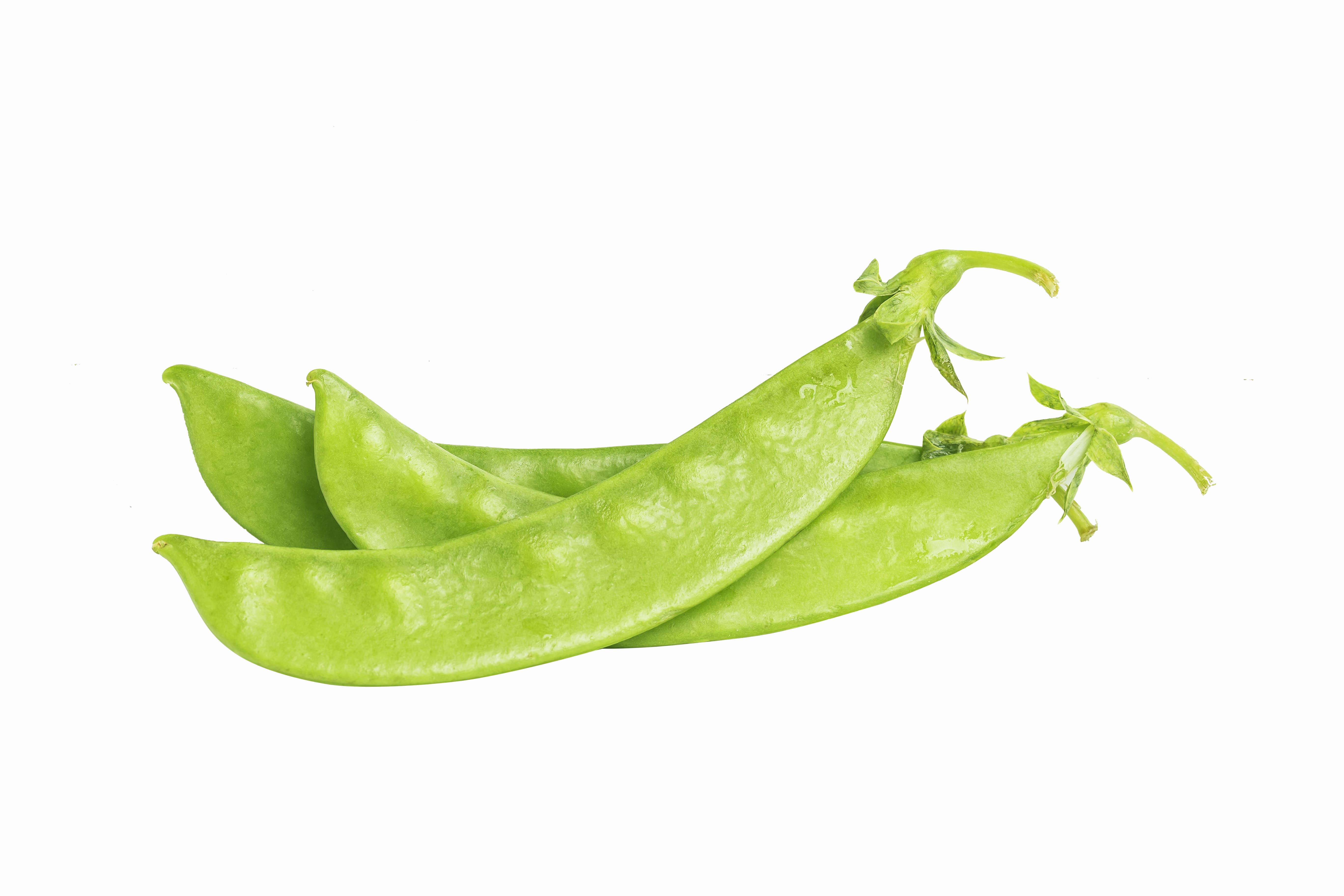 snow-peas-mange-tout