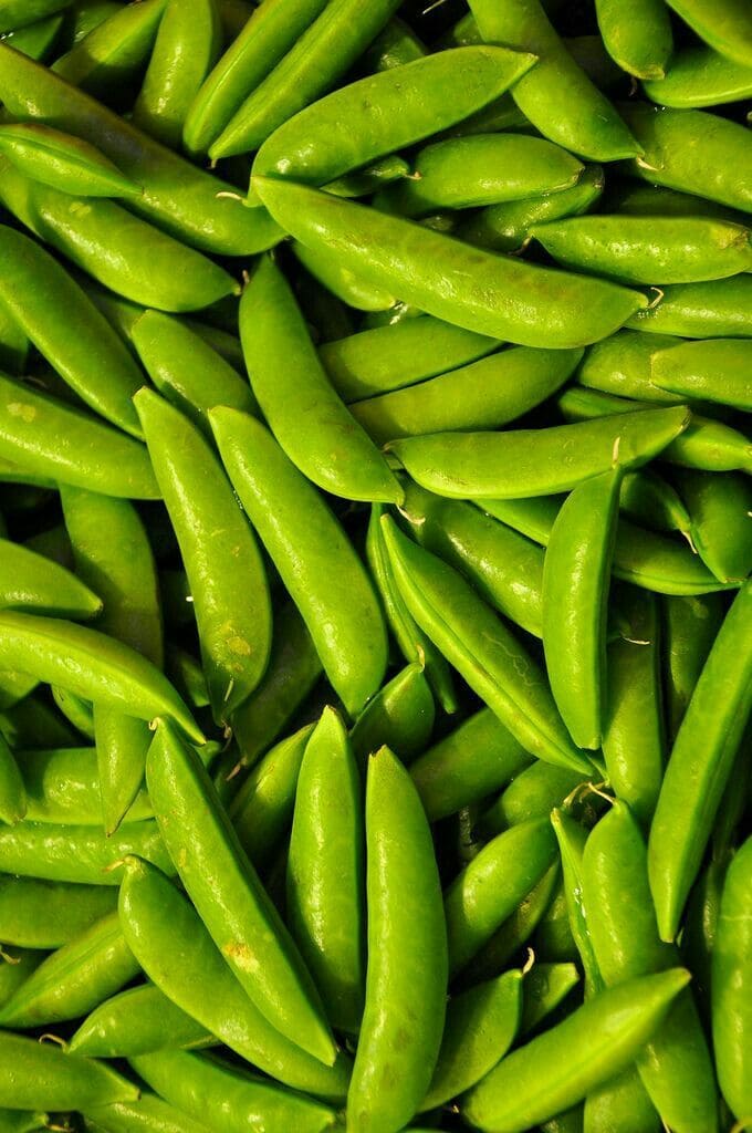 sugar-snap-peas